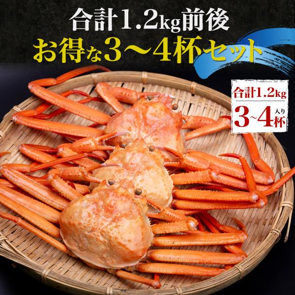 紅ずわい蟹 姿 3〜4杯（合計1.2kg前後）茹で ボイル A級品 訳あり 紅ズワイガニ 境港直送 国産 未冷凍 ギフト