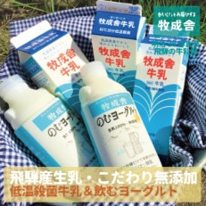 飛騨の牛乳屋・牧成舎の飛騨産生乳100%使用!低温殺菌牛乳3本のむヨーグルト2本