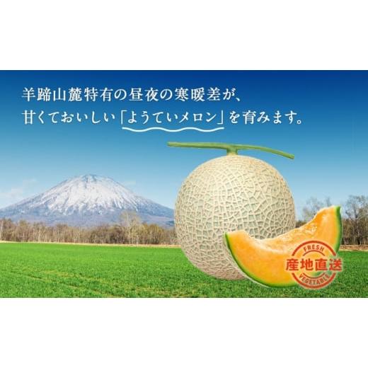 ふるさと納税 北海道 倶知安町 北海道 赤肉メロン 約1.6kg 2玉 メロン 赤肉 果物 フルーツ 甘い 完熟 スイーツ デザート 産直 国産 贈答品 お祝い ギフト羊蹄…