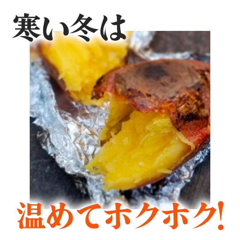 冷凍焼きいも（紅はるか） 送料無料 本場 鹿児島県 南大隈町産 蜜焼き芋 スイーツ 紅はるか べにはるか 焼き芋