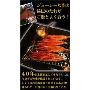 ふるさと納税 大型サイズ　ふっくら柔らか国産うなぎ蒲焼き　約２人前化粧箱入 和歌山県九度山町