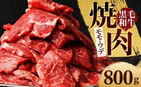 熊本県産 黒毛和牛 焼肉用 モモ・ウデ 合計800g 牛 肉