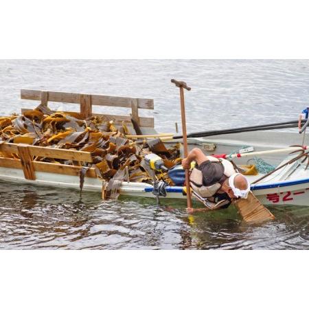 ふるさと納税 北海道礼文島産天然利尻だし昆布（バラ）2kg 北海道礼文町