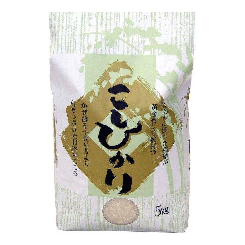 精米 高級銘柄米 奥胎内 棚田 新潟産コシヒカリ 白米 10キロ 令和4年度