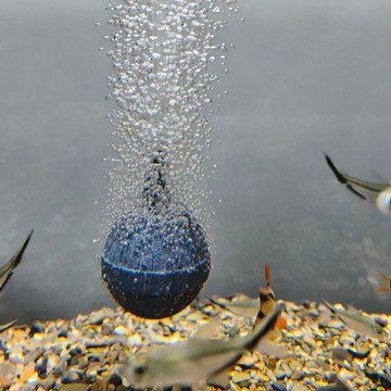 魚缸增氧泵配件 氣泡石氣石 水族沙頭靜音氧氣石 家用 FGSH