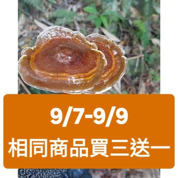 [福伯薑黃]紅薑黃膠囊(添加靈芝+黑胡椒)消除疲憊感 長期應酬 補氣 養身 靈芝 {紅薑黃 薑黃粉 薑黃膠囊 薑黃錠}