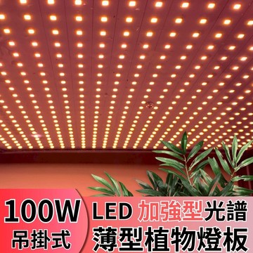 【君沛植物燈】LED植物燈 LED100W薄型植物燈板 100瓦吊掛式植物燈 加強型光譜 強化植物莖葉發展 植物生長燈版
