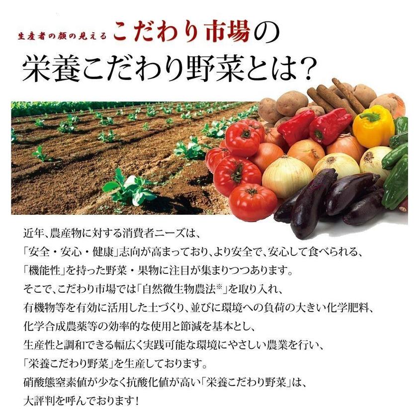 食品 お試し旬の野菜＆加工食材：詰合せセット Lセット（９〜１２種類）３〜５人向き 宅配サービス 送料無料