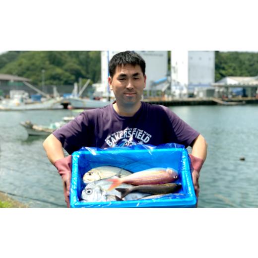 ふるさと納税 高知県 宿毛市 新鮮土佐魚の詰合せセットA