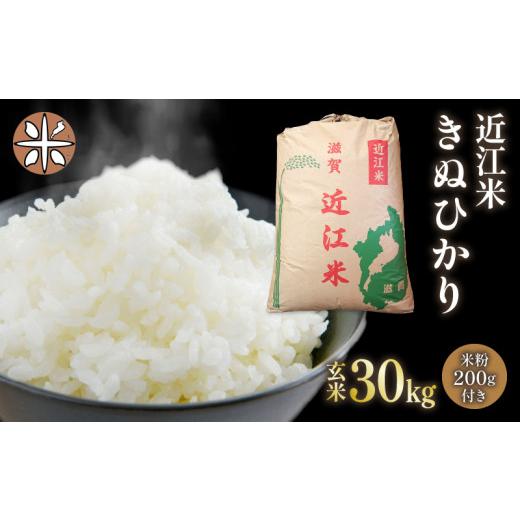 ふるさと納税 滋賀県 竜王町 令和5年産 きぬひかり 玄米 30kg 近江米 新米 米粉 200g付