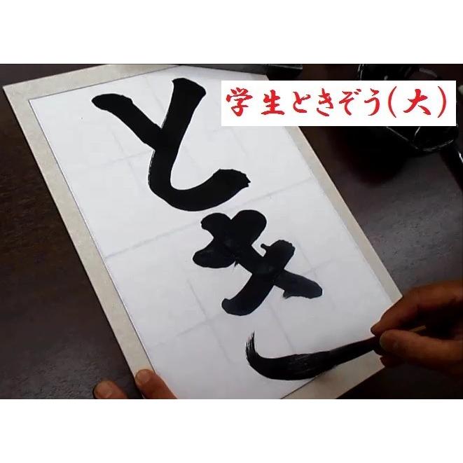 習字 太筆 学生ときぞう(中) 10本セット 熊野筆 書道筆