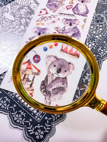 KR524無尾熊_koala A