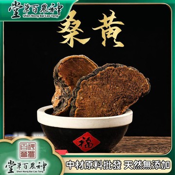桑黃 西藏桑黃 野外生長桑黃 自然曬幹 250g-500g