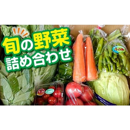 ふるさと納税 千葉県 富津市 旬の野菜詰め合わせ