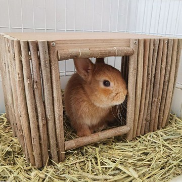 【臺灣出貨】兔子解悶神器兔子玩具躲避屋養寵物侏儒兔兔玩具草窩隧道小兔樂園
