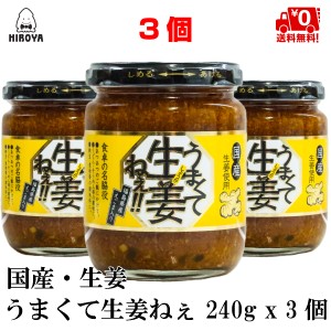 博屋 送料無料 うまくて生姜ねぇ 240ｇ × 3個