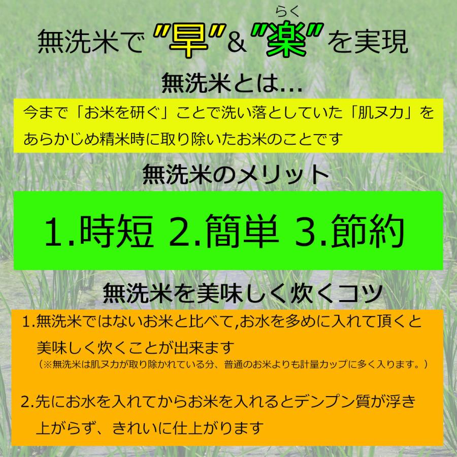 米 はえぬき 無洗米 5kg 送料無料 安い 山形県産 令和5年産 美味しいお米 いいあん米 山形 庄内 農家直送