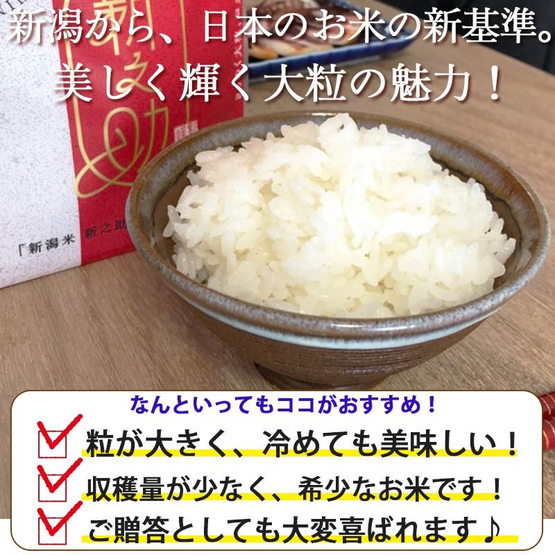 お米 2kg 新潟産新之助 条件付送料無料 しんのすけ プレミアム米 ブランド米  ギフト 内祝い