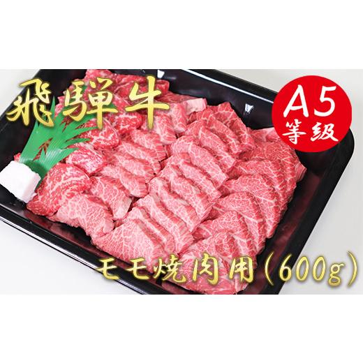 ふるさと納税 岐阜県 垂井町 A5飛騨牛モモ焼き肉用600ｇ