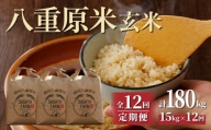 八重原米15kg（5kg×3袋）玄米
