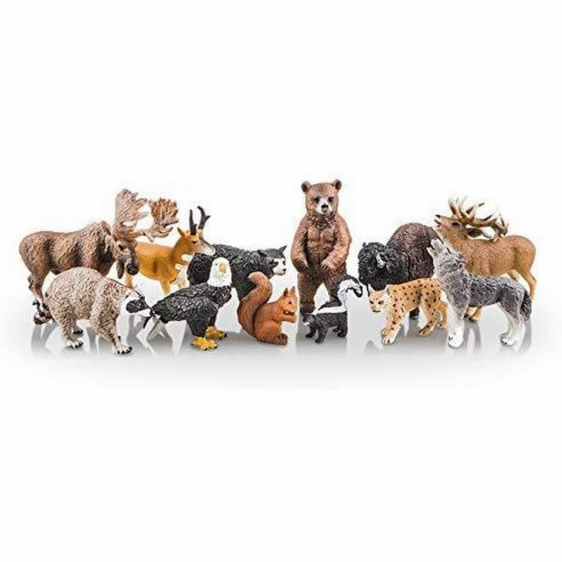 Toymany 12pcs 北アメリカ 森の動物フィギュア 野生動物フィギュアセット リアルな動物模型 動物おもちゃモデル 子供おもちゃ 並行輸入 通販 Lineポイント最大0 5 Get Lineショッピング