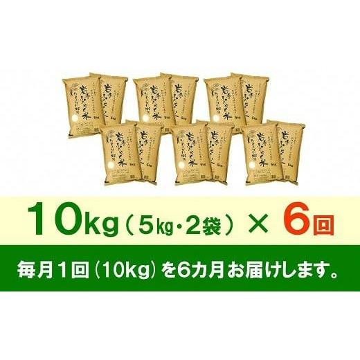 ふるさと納税 岩手県 奥州市 ☆全6回定期便☆ 岩手ふるさと米 10kg(5kg×2)×6ヶ月 一等米ひとめぼれ 令和5年産 新米  東北有数のお米の産地 岩手県奥州市産