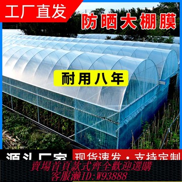 {臺灣公司貨 可打統編}加厚大棚塑料膜透明大棚膜po膜蔬菜大棚專用薄膜塑料布農用保溫膜