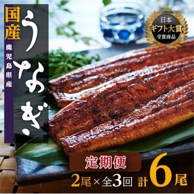 おおさきうなぎ鹿児島県産うなぎ長蒲焼2尾(全3回)合計6尾