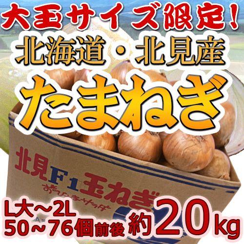 北海道 北見F1 ”たまねぎ” 秀品 約20kg 大玉L〜LLサイズ 玉葱 送料無料