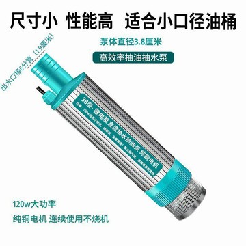 臺灣發貨>電動抽油泵抽水泵21v鋰電池抽油泵油水兩用泵抽柴油泵自吸潛水泵JSR