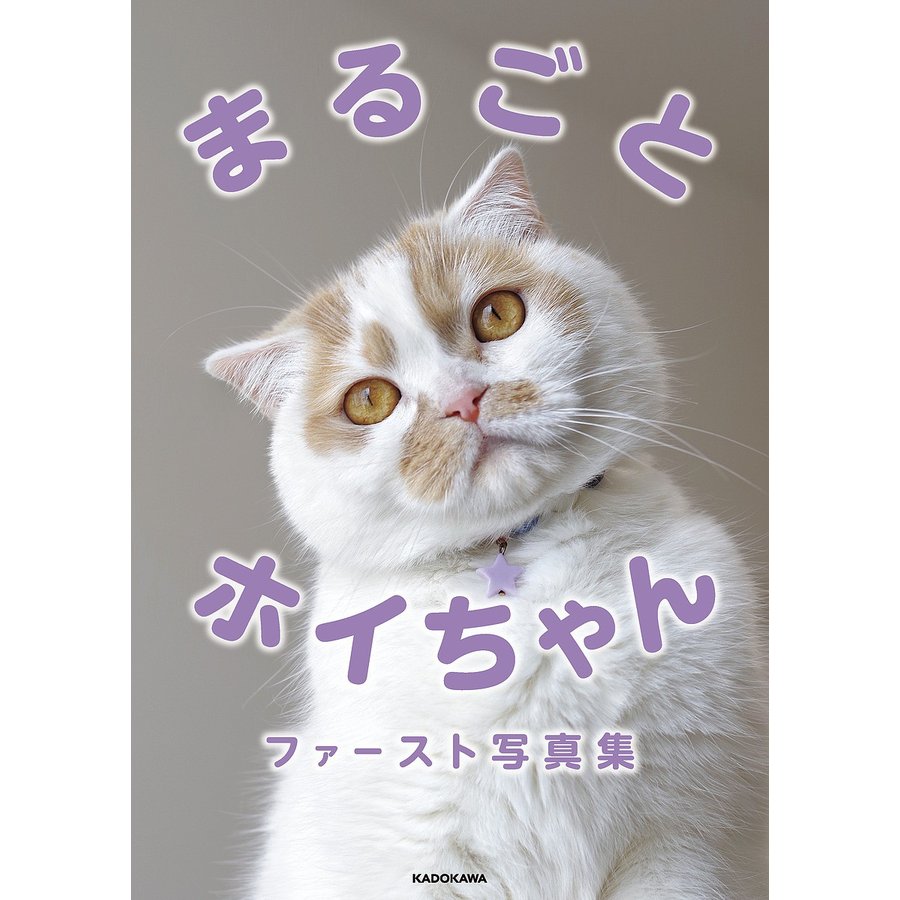 まるごとホイちゃんファースト写真集 ねこ休み展 スピンオフ公認 ホイ主