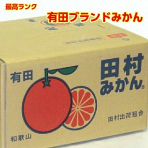 みかん 田村みかん 10Kg 秀品赤 M 送料無料 有田みかん おいしい 和歌山 お歳暮 ギフト 最高ランク