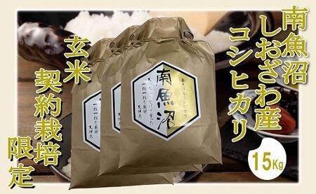 ●玄米● 生産者限定 南魚沼しおざわ産コシヒカリ