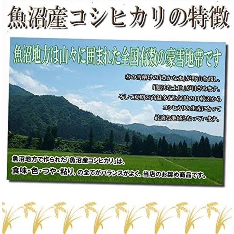 新米 精白米 5kg 魚沼産 コシヒカリ 令和5年産 越後の米穀商高田屋