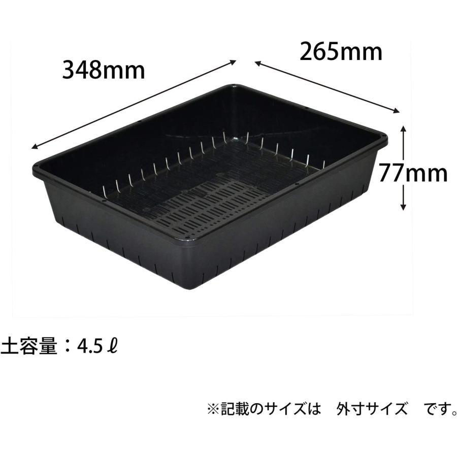 アップルウェアー 育苗コンテナー12型BK