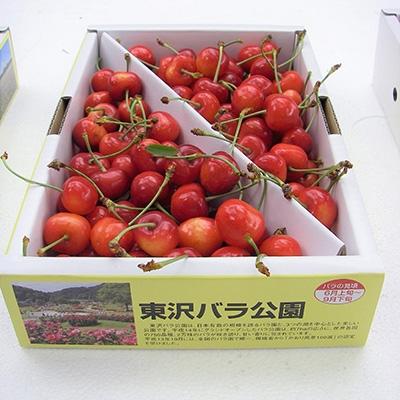 ふるさと納税 村山市 (秀品)山形のさくらんぼ佐藤錦L玉　約1kgバラ詰め