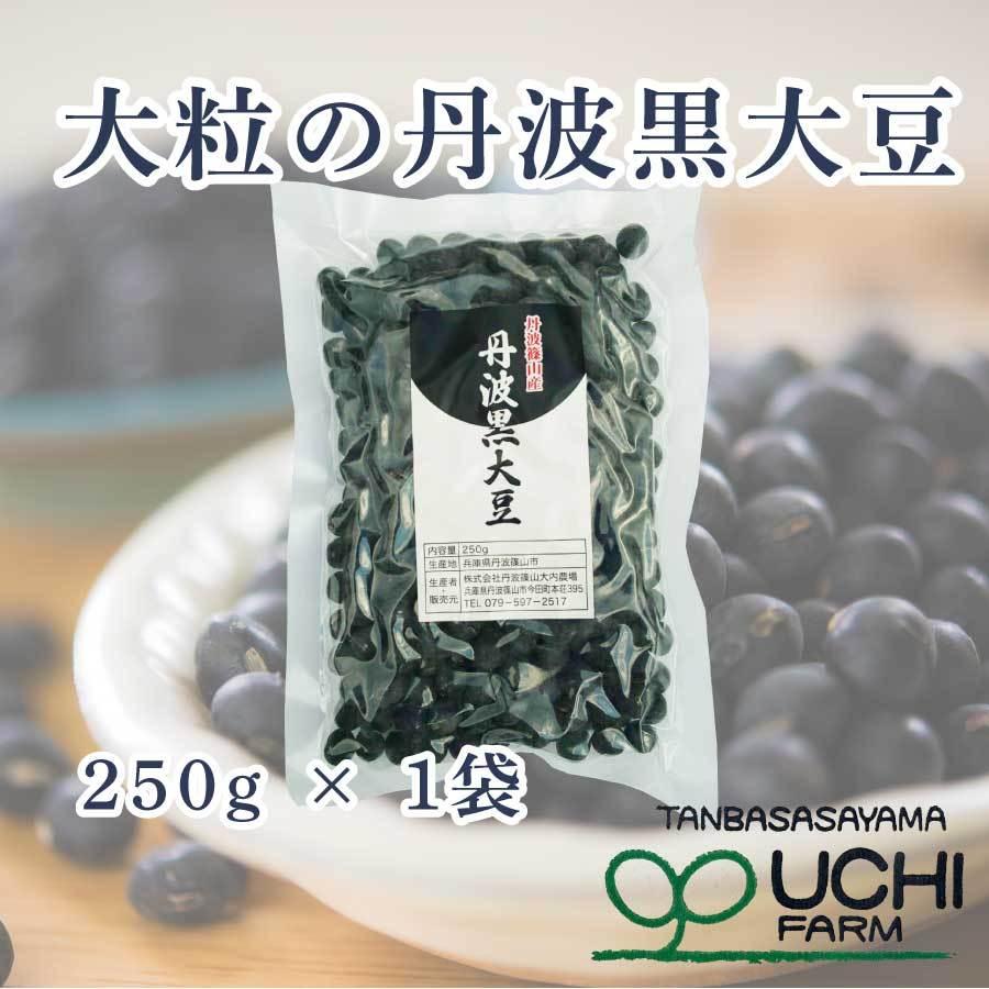 丹波篠山産 黒大豆 丹波黒 配送費用無料 令和3年度産 新物 250g