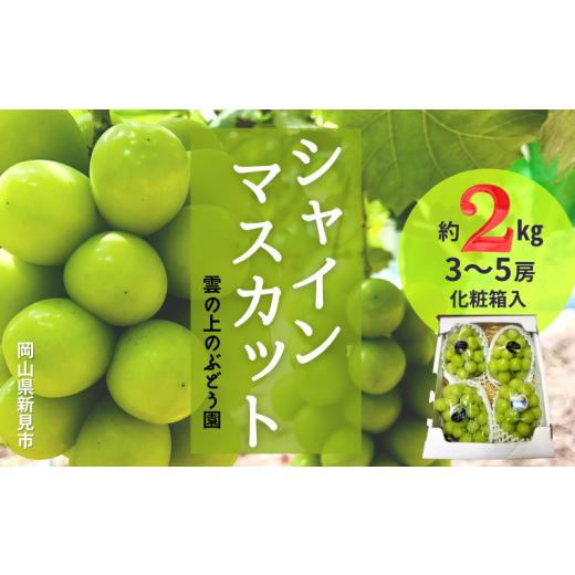 ふるさと納税 岡山県 新見市 雲の上のぶどう園 シャインマスカット 約2kg 3〜5房 