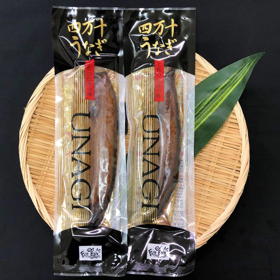 うなぎ 蒲焼き 四万十うなぎ 蒲焼 2尾セット   お取り寄せ お土産 ギフト プレゼント 特産品 お歳暮 おすすめ  