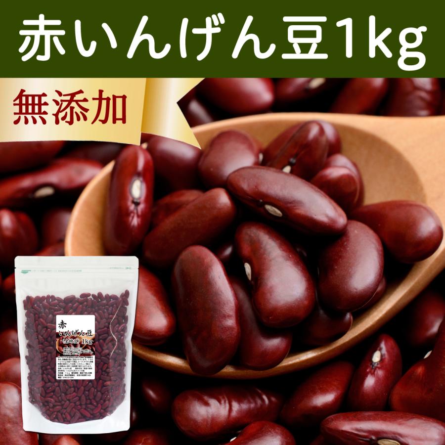 赤 いんげん豆 1kg 金時豆 インゲン豆 レッドキドニー ビーンズ