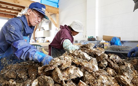 牡蠣のガンガン焼き殻付き10個セット