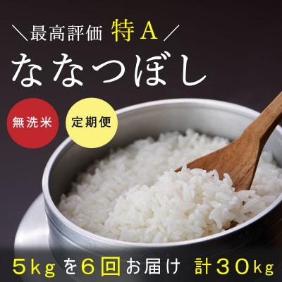 ふるさと納税 当麻町 特Aランク ななつぼし(無洗米)5kg 6回コース『定期便』