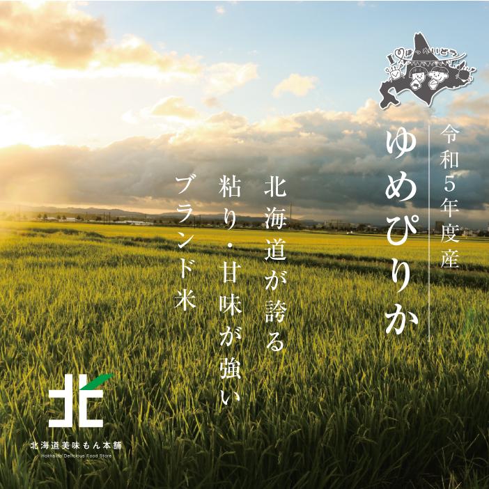 令和5年度産 新米 送料無料 ゆめぴりか 10kg 米 白米 北海道 安い 最安値挑戦中 直送