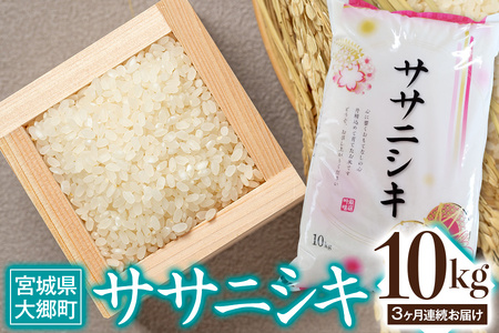 [3ヶ月連続定期便] 令和5年産 ササニシキ 10kg｜宮城産 白米 ごはん 精米 定期便 [0120]