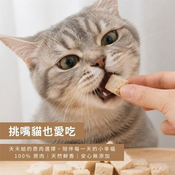 【GoodDog】100%原肉貓凍乾5入組｜貓咪零食｜MIT台灣製｜無添加