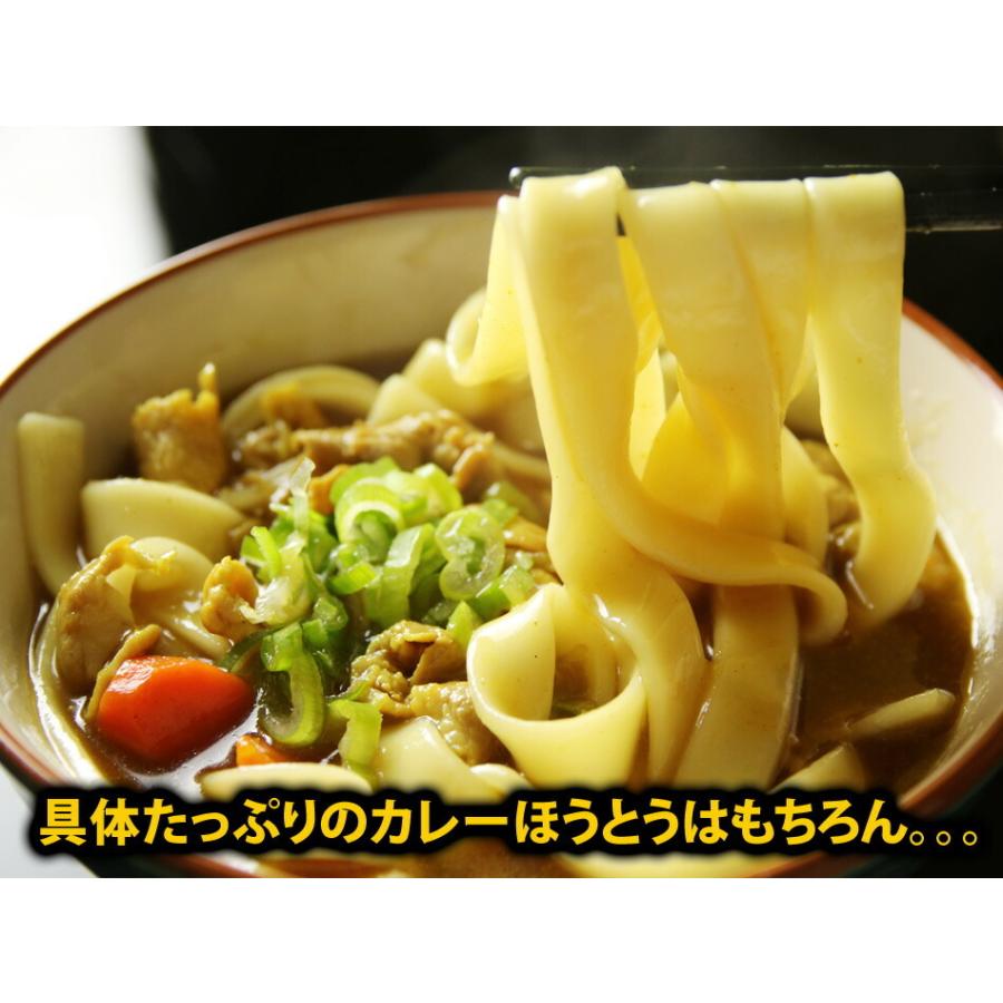 本なま麺　ほうとう　特製カレースープ　10食セット 送料無料 送料無料(※北海道、九州、四国、沖縄は別途送料加算となります)