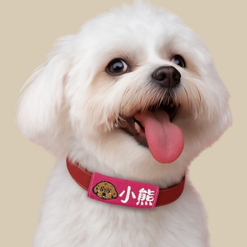 【客製刺繡】寵物名牌 狗狗吊牌 貓咪胸背繡名布標