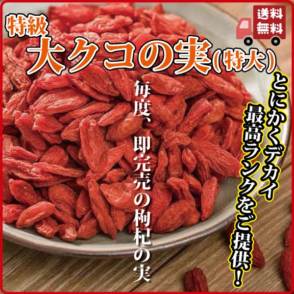 ドライフルーツ 薬膳 クコの実 250g×2袋 くこの実 枸杞の実 特大サイズ 超特級の品質 いつも即完売 健康 日本を健康にする長寿薬膳堂