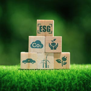 Sustainability for Business: ESG Fundamentals