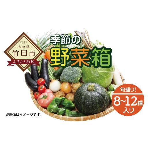 ふるさと納税 大分県 竹田市 何が届くかお楽しみ！竹田市産！季節の『野菜箱』8~12種